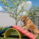 5 benefícios de ter um pet place como área de lazer do condomínio